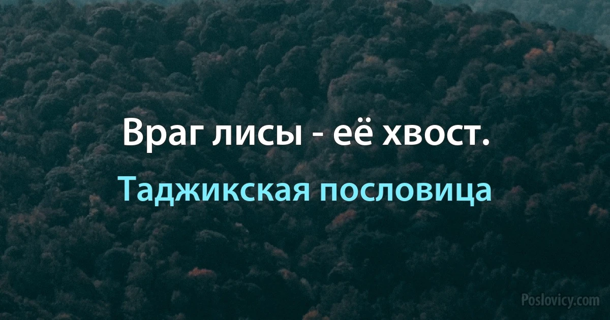 Враг лисы - её хвост. (Таджикская пословица)