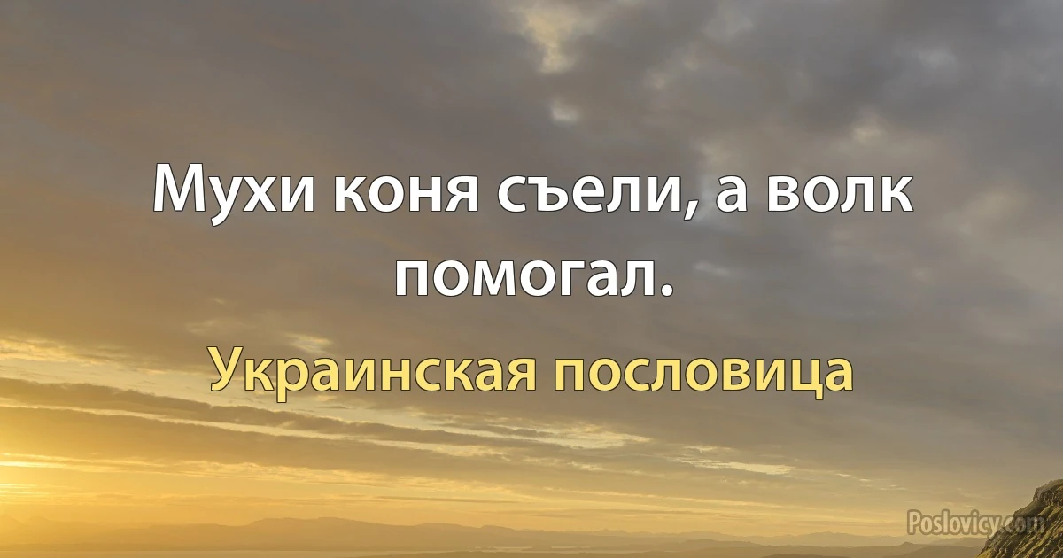 Мухи коня съели, а волк помогал. (Украинская пословица)