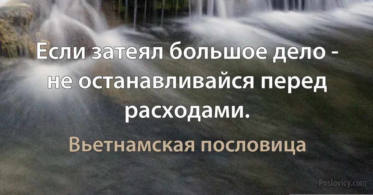 Если затеял большое дело - не останавливайся перед расходами. (Вьетнамская пословица)