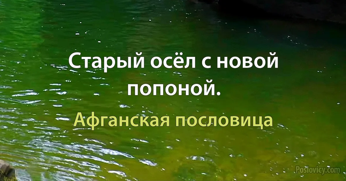 Старый осёл с новой попоной. (Афганская пословица)