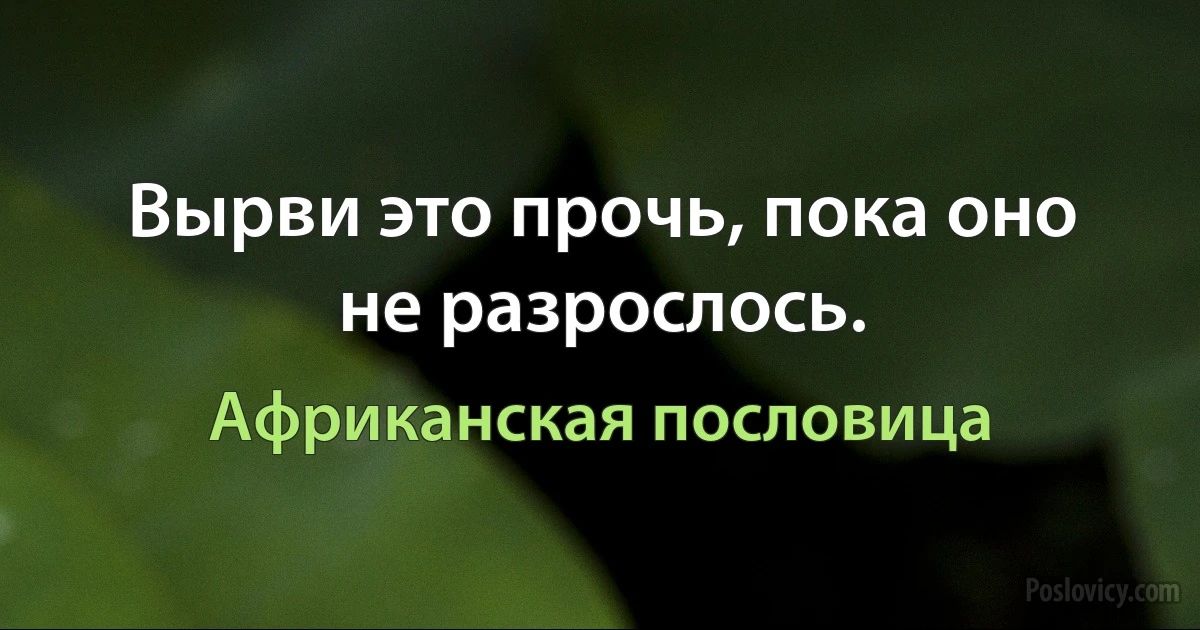 Вырви это прочь, пока оно не разрослось. (Африканская пословица)