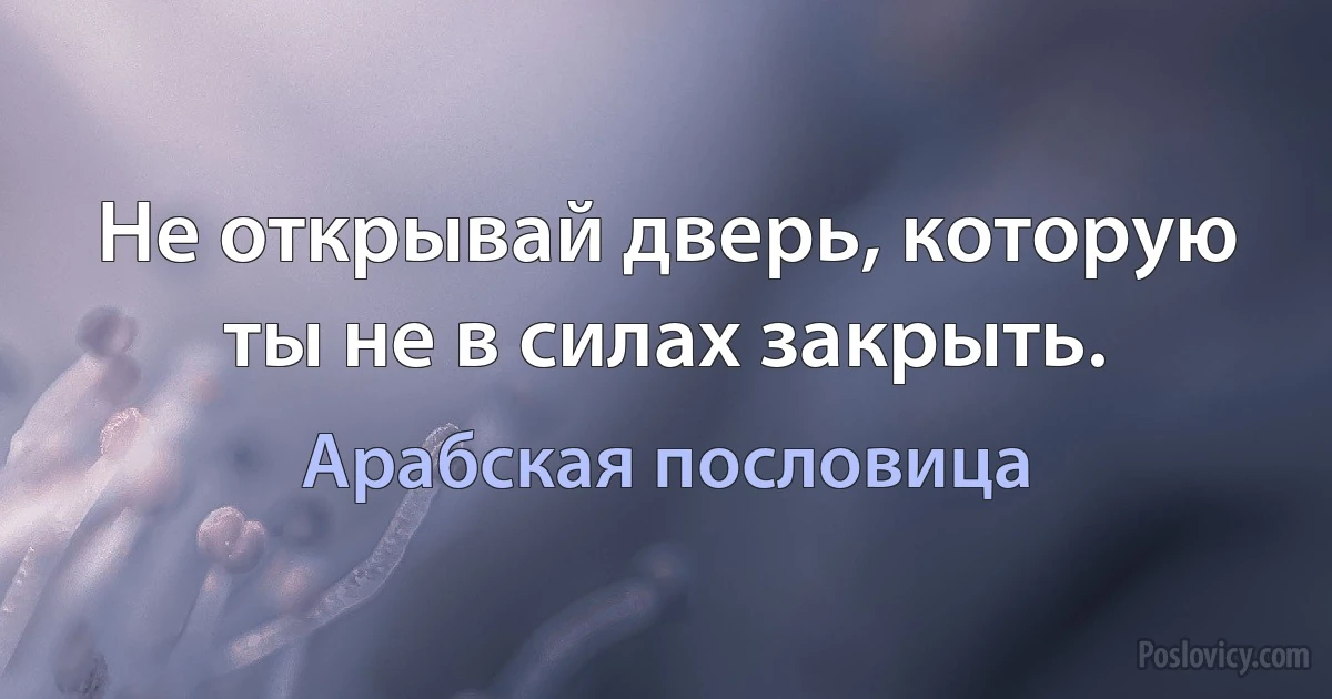 Не открывай дверь, которую ты не в силах закрыть. (Арабская пословица)