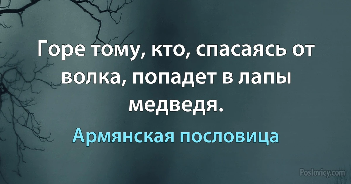 Горе тому, кто, спасаясь от волка, попадет в лапы медведя. (Армянская пословица)