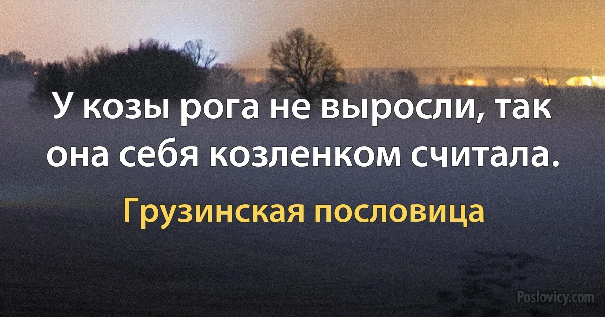 У козы рога не выросли, так она себя козленком считала. (Грузинская пословица)