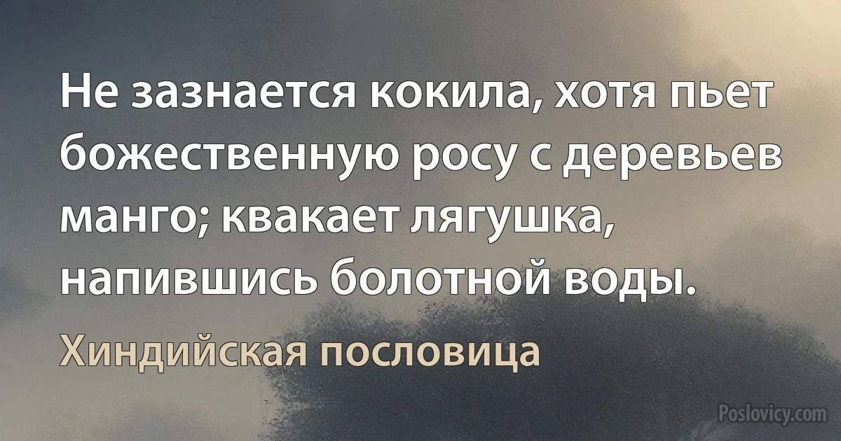 Не зазнается кокила, хотя пьет божественную росу с деревьев манго; квакает лягушка, напившись болотной воды. (Хиндийская пословица)