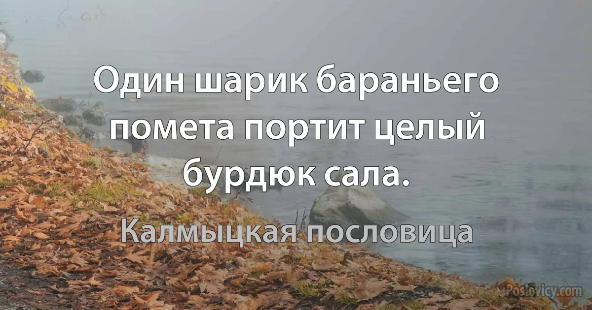 Один шарик бараньего помета портит целый бурдюк сала. (Калмыцкая пословица)