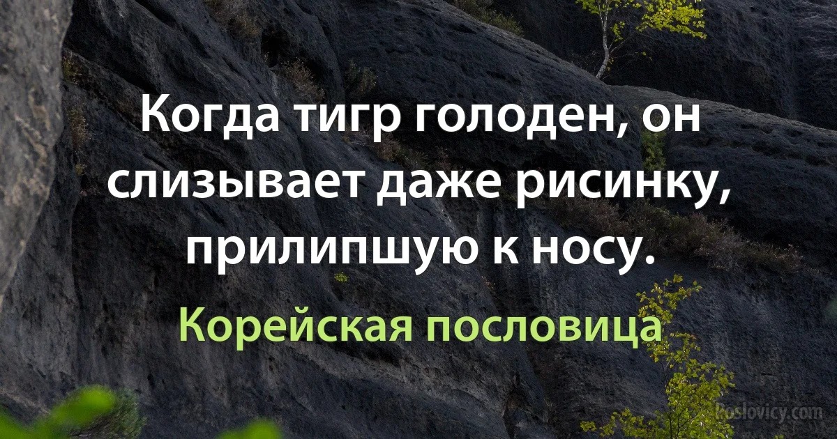 Когда тигр голоден, он слизывает даже рисинку, прилипшую к носу. (Корейская пословица)