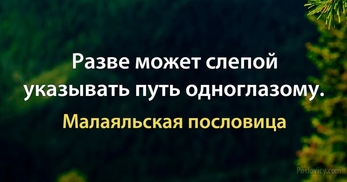 Разве может слепой указывать путь одноглазому. (Малаяльская пословица)