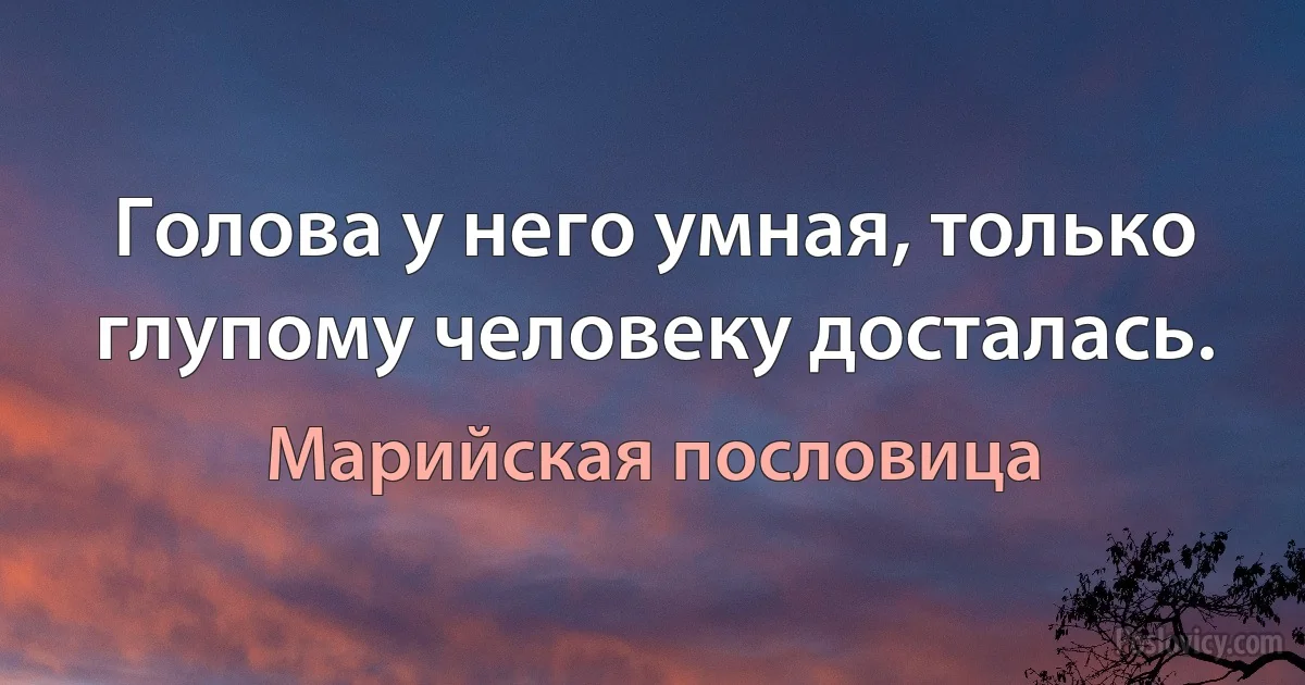 Голова у него умная, только глупому человеку досталась. (Марийская пословица)