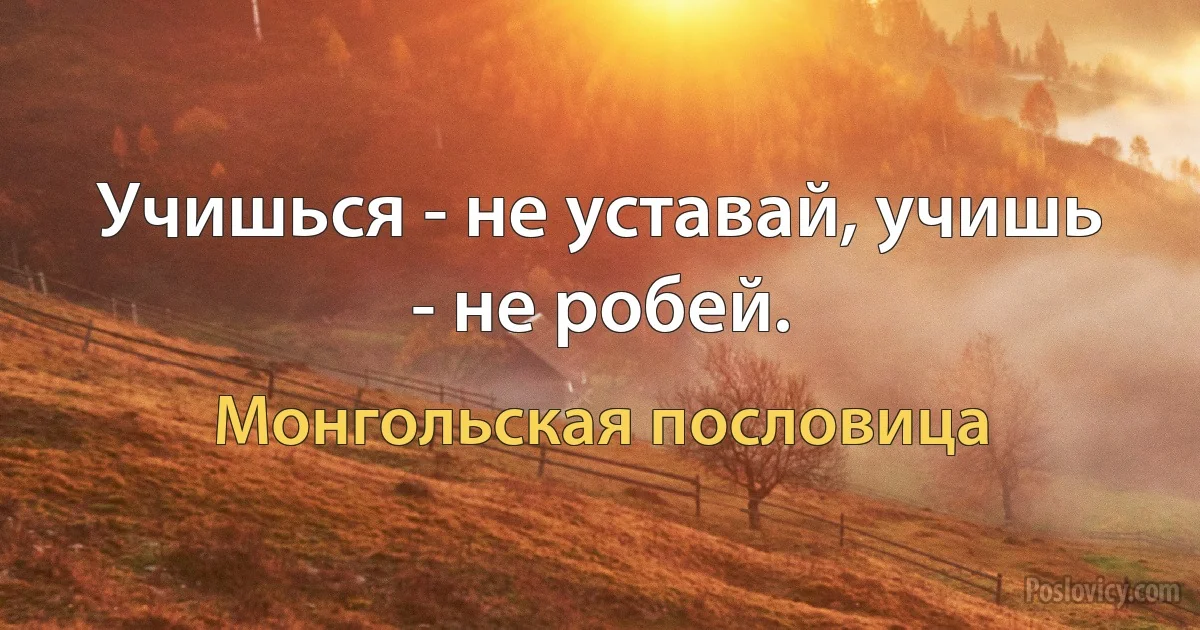 Учишься - не уставай, учишь - не робей. (Монгольская пословица)