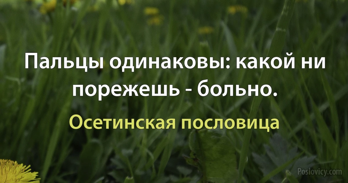 Пальцы одинаковы: какой ни порежешь - больно. (Осетинская пословица)