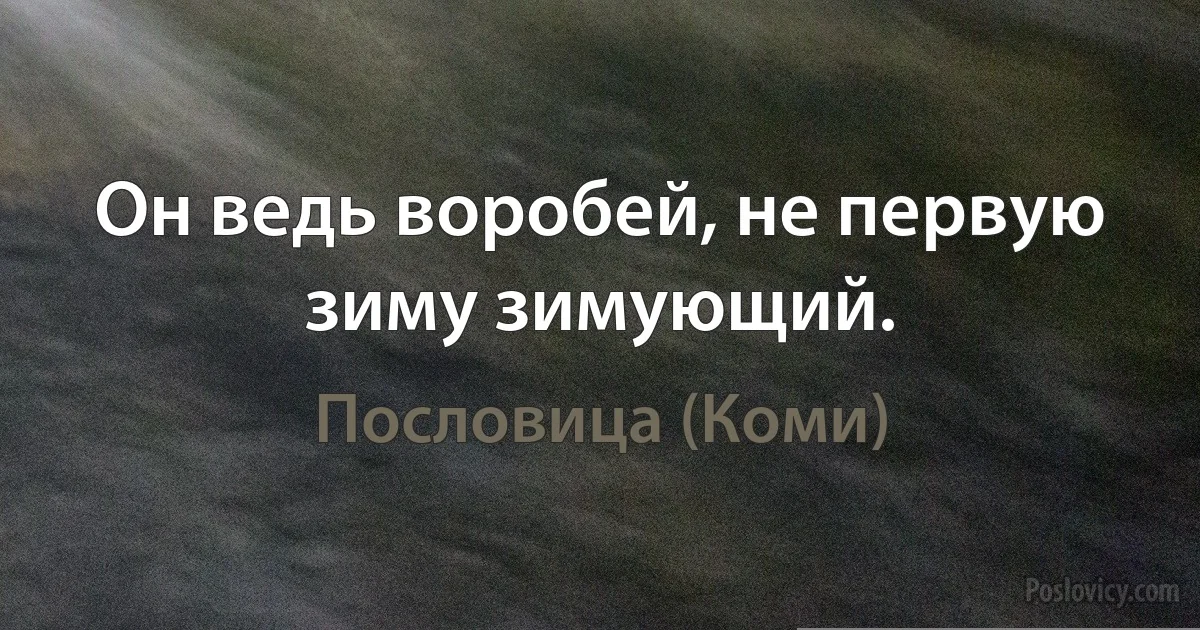 Он ведь воробей, не первую зиму зимующий. (Пословица (Коми))