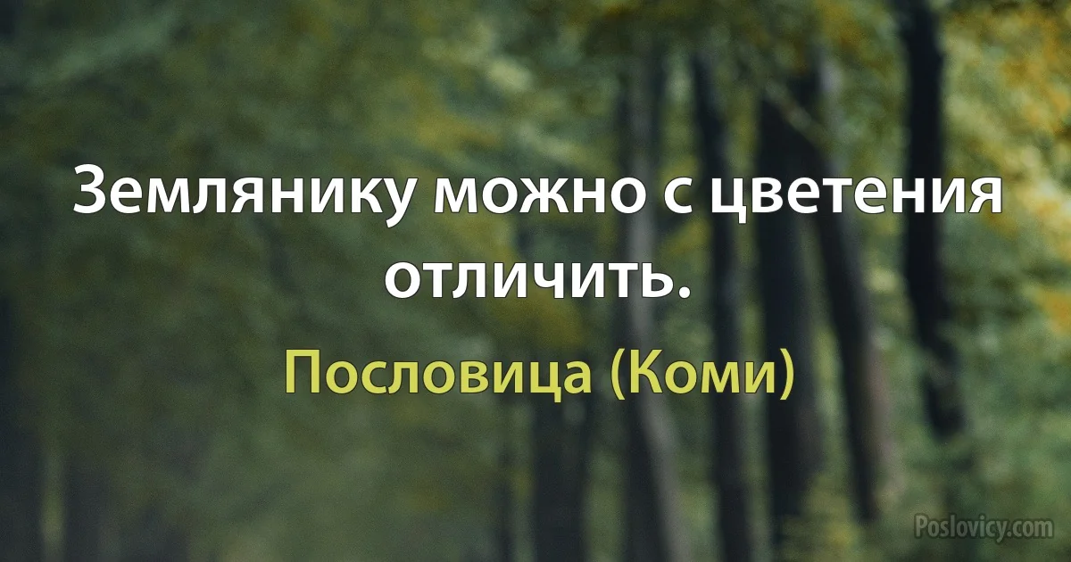 Землянику можно с цветения отличить. (Пословица (Коми))