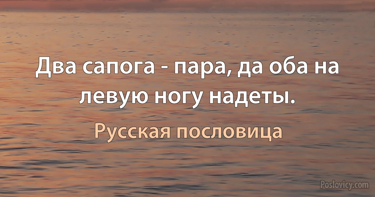 Два сапога - пара, да оба на левую ногу надеты. (Русская пословица)