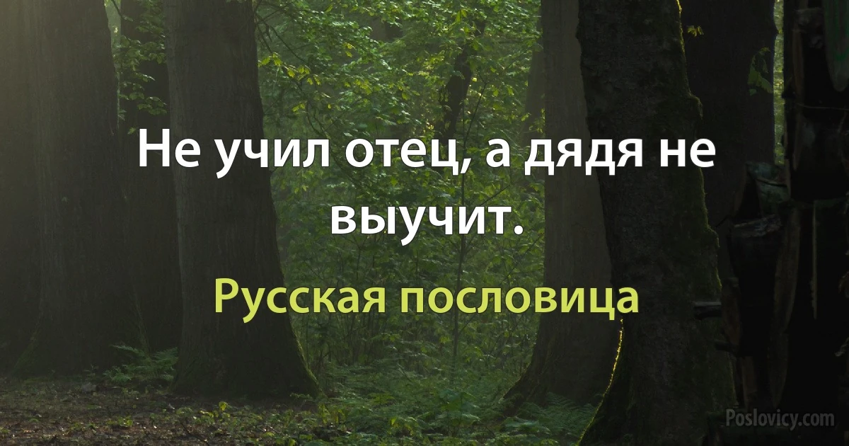 Не учил отец, а дядя не выучит. (Русская пословица)