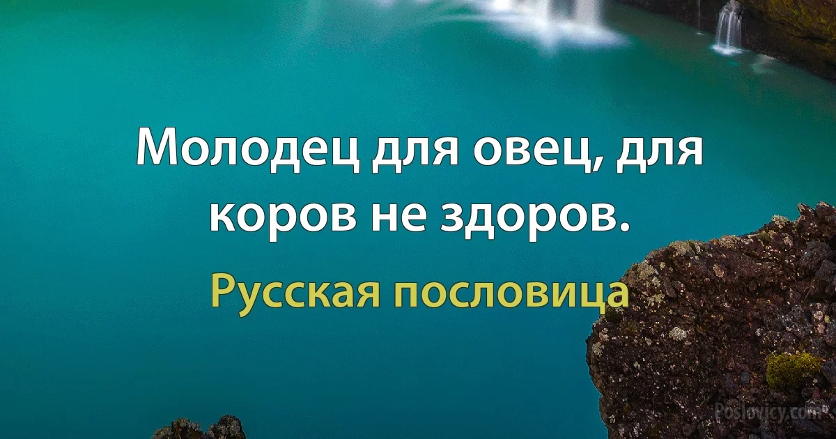 Молодец для овец, для коров не здоров. (Русская пословица)