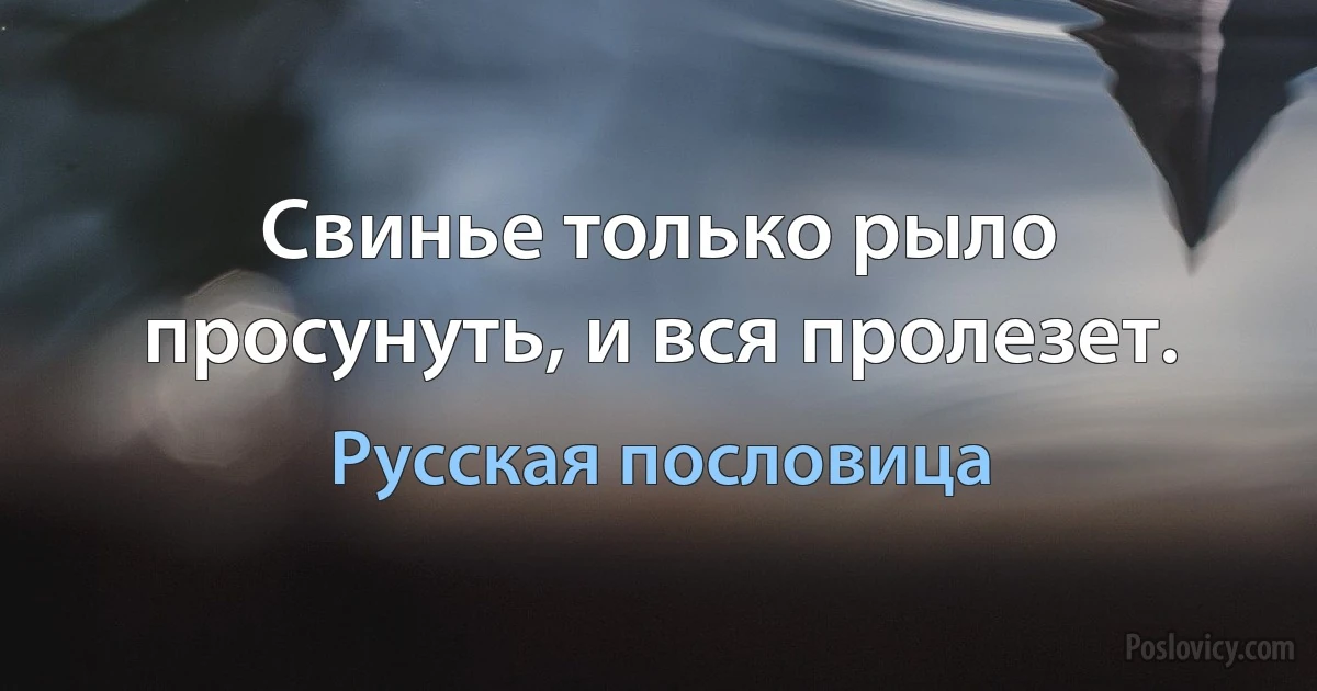 Свинье только рыло просунуть, и вся пролезет. (Русская пословица)