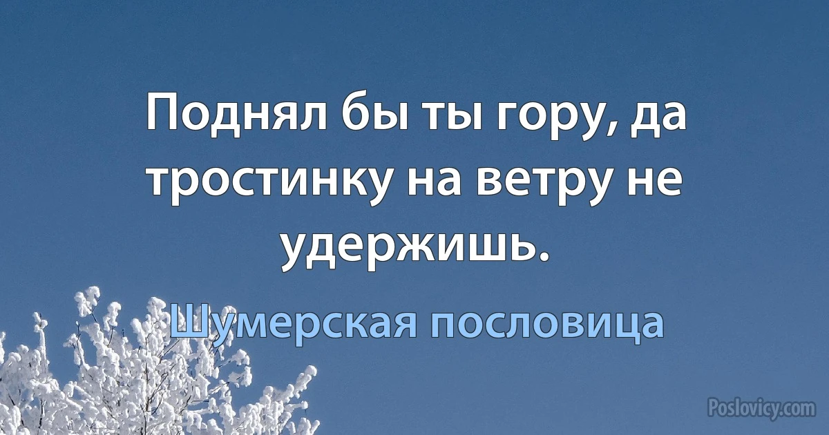 Поднял бы ты гору, да тростинку на ветру не удержишь. (Шумерская пословица)