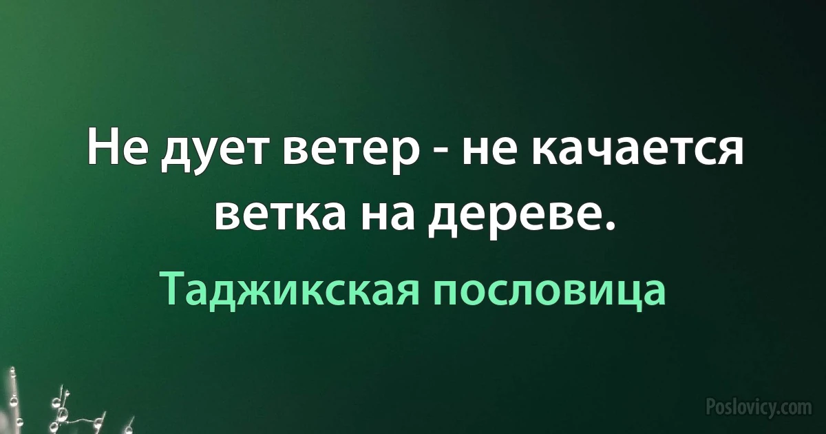 Не дует ветер - не качается ветка на дереве. (Таджикская пословица)