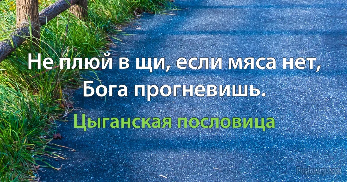 Не плюй в щи, если мяса нет, Бога прогневишь. (Цыганская пословица)