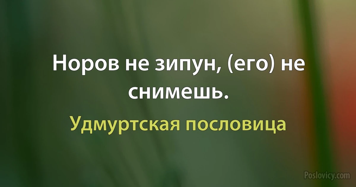 Норов не зипун, (его) не снимешь. (Удмуртская пословица)