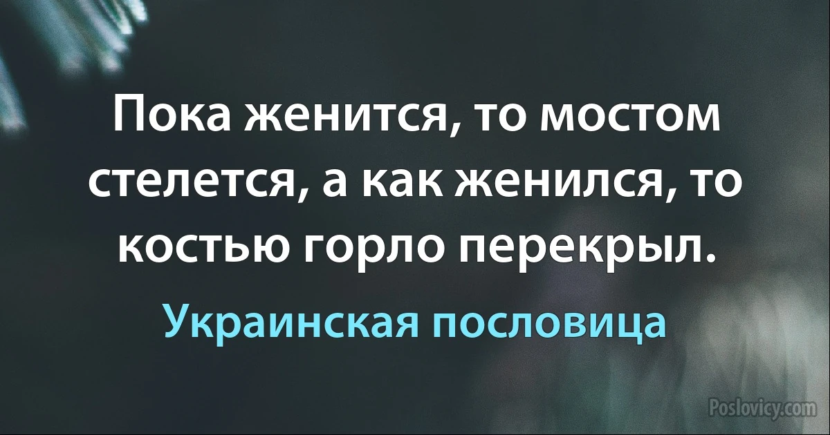 Пока женится, то мостом стелется, а как женился, то костью горло перекрыл. (Украинская пословица)