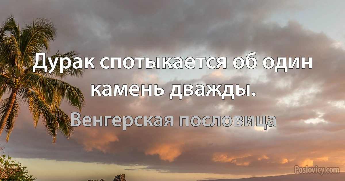 Дурак спотыкается об один камень дважды. (Венгерская пословица)