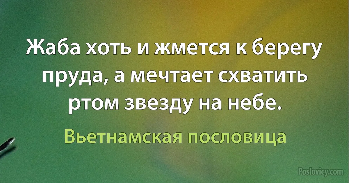 Жаба хоть и жмется к берегу пруда, а мечтает схватить ртом звезду на небе. (Вьетнамская пословица)