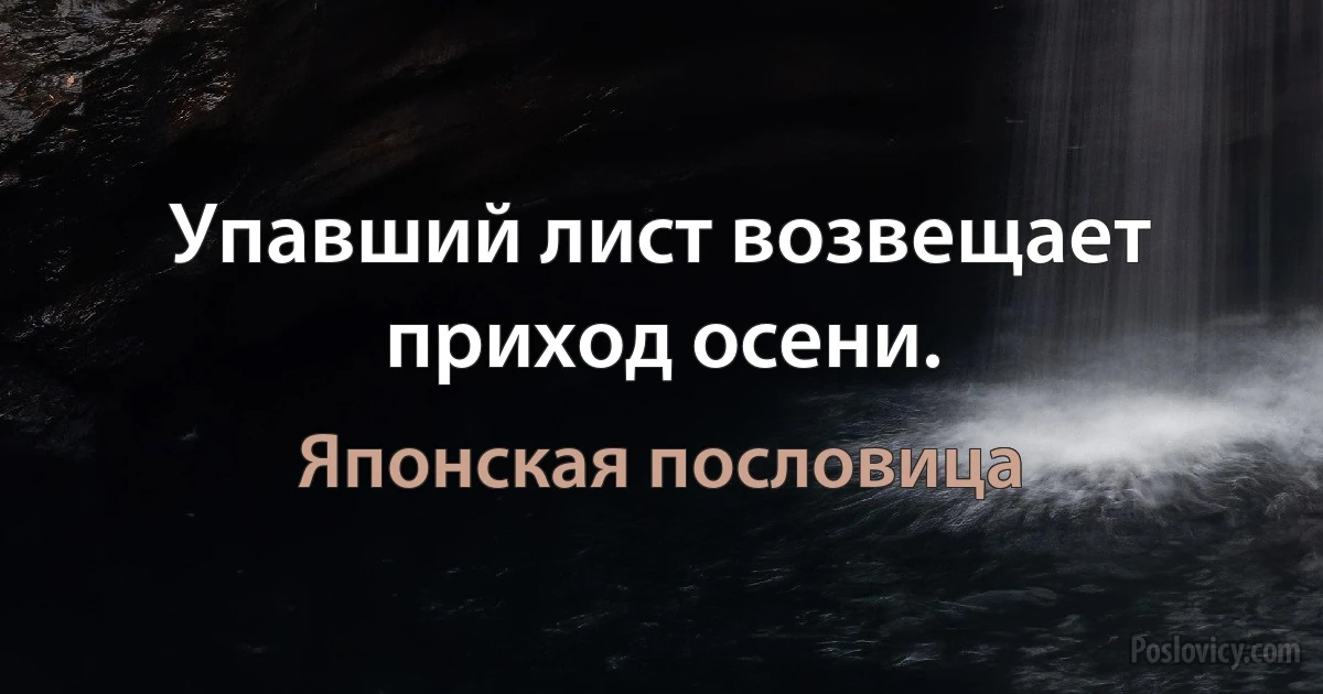 Упавший лист возвещает приход осени. (Японская пословица)