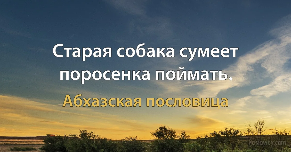 Старая собака сумеет поросенка поймать. (Абхазская пословица)