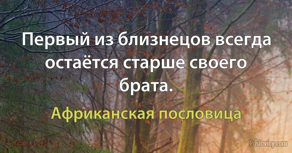 Первый из близнецов всегда остаётся старше своего брата. (Африканская пословица)