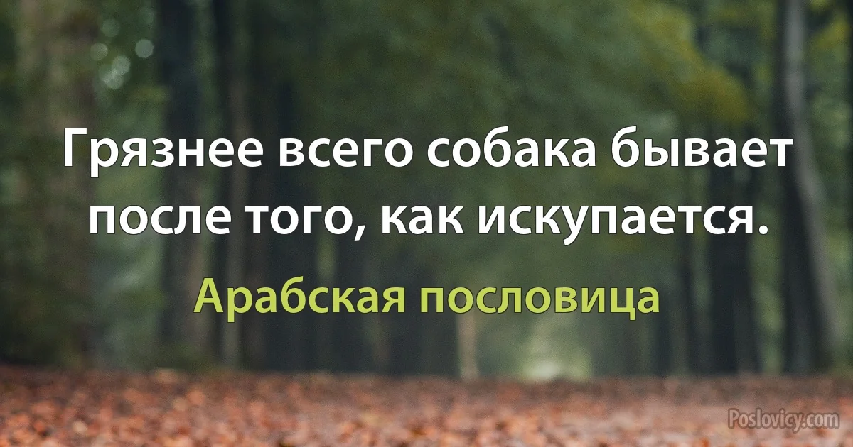 Грязнее всего собака бывает после того, как искупается. (Арабская пословица)