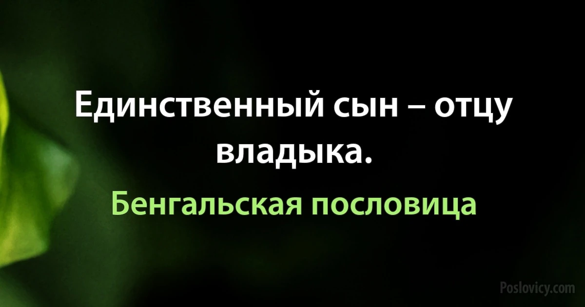 Единственный сын – отцу владыка. (Бенгальская пословица)