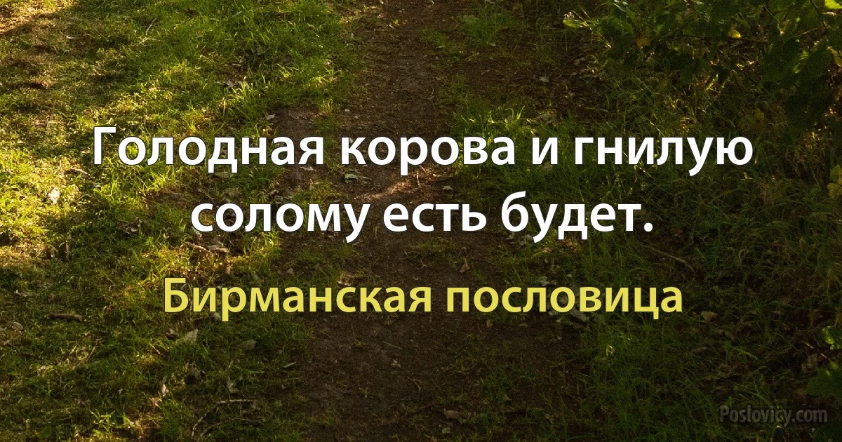 Голодная корова и гнилую солому есть будет. (Бирманская пословица)