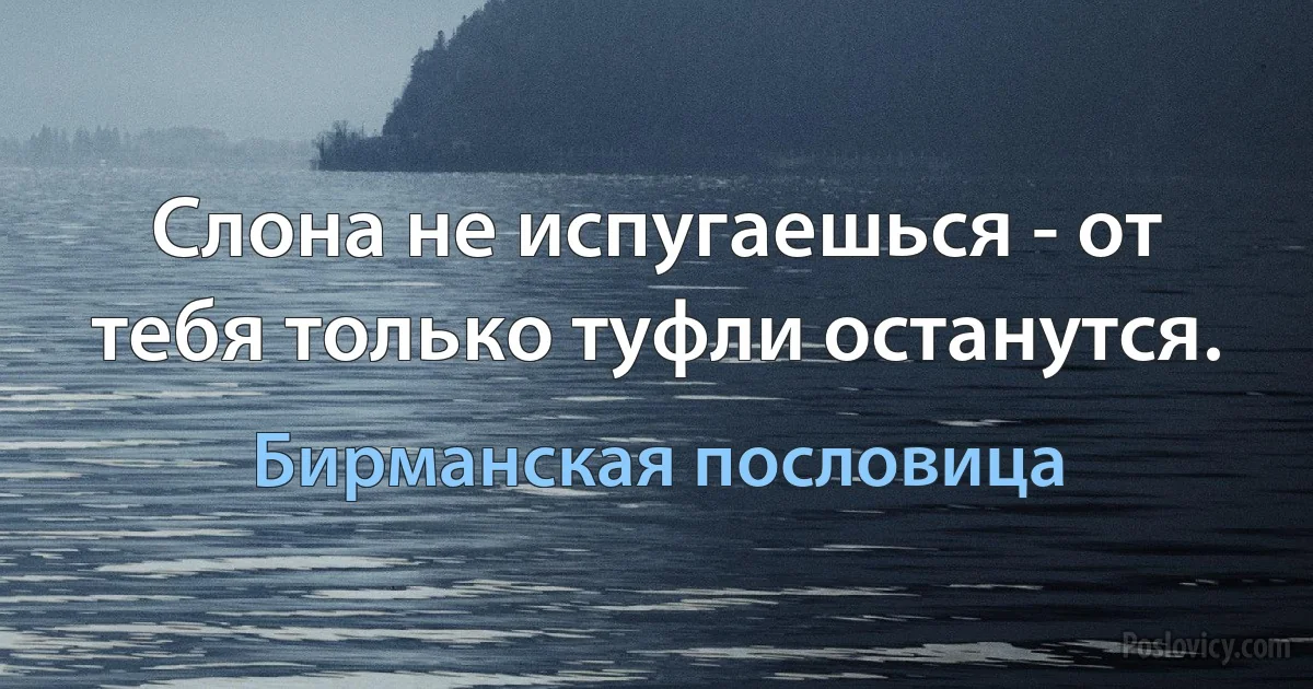 Слона не испугаешься - от тебя только туфли останутся. (Бирманская пословица)