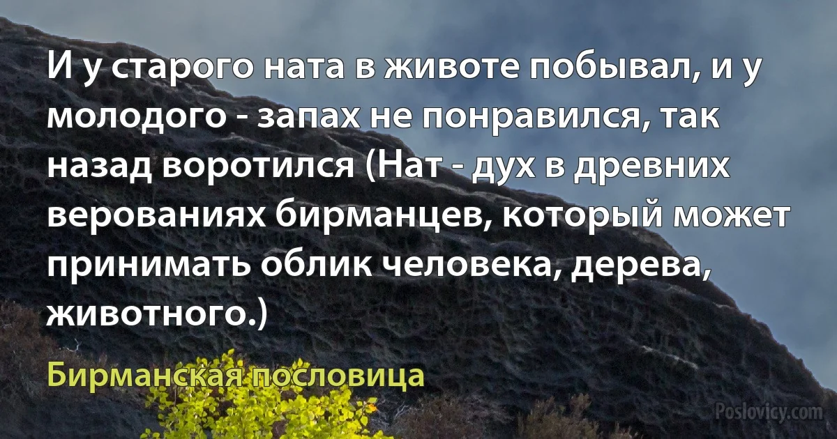 И у старого ната в животе побывал, и у молодого - запах не понравился, так назад воротился (Нат - дух в древних верованиях бирманцев, который может принимать облик человека, дерева, животного.) (Бирманская пословица)