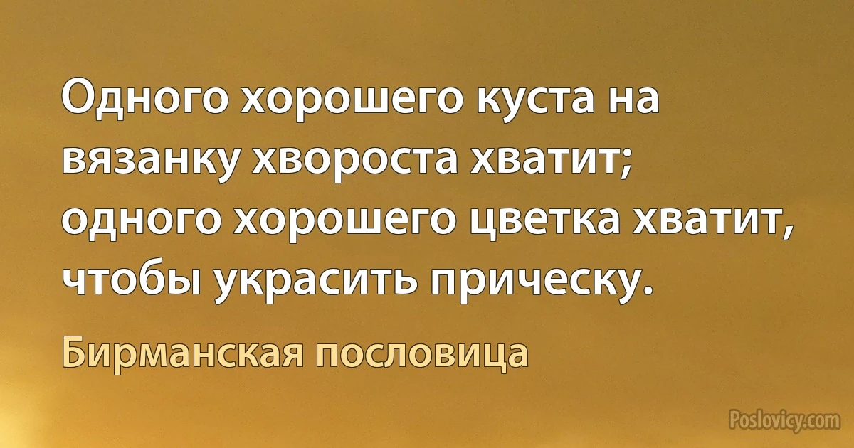 Одного хорошего куста на вязанку хвороста хватит; одного хорошего цветка хватит, чтобы украсить прическу. (Бирманская пословица)