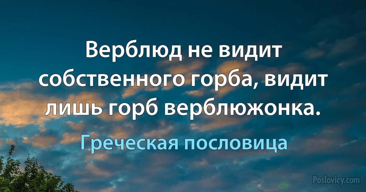 Верблюд не видит собственного горба, видит лишь горб верблюжонка. (Греческая пословица)