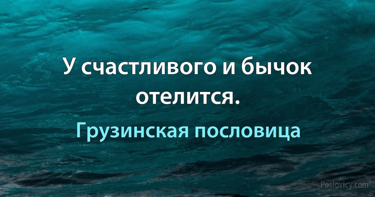 У счастливого и бычок отелится. (Грузинская пословица)