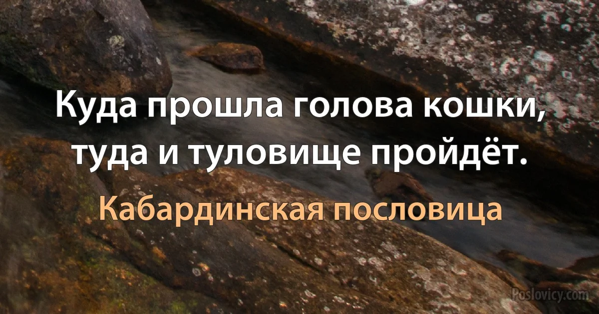 Куда прошла голова кошки, туда и туловище пройдёт. (Кабардинская пословица)