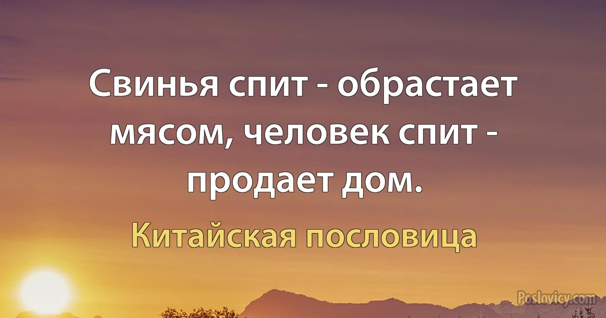 Свинья спит - обрастает мясом, человек спит - продает дом. (Китайская пословица)