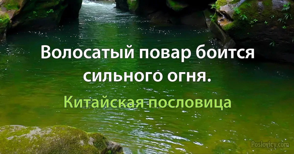 Волосатый повар боится сильного огня. (Китайская пословица)