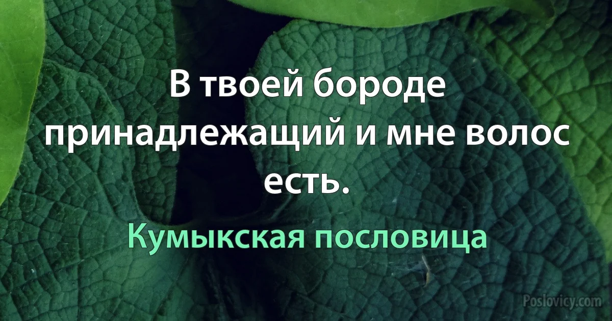 В твоей бороде принадлежащий и мне волос есть. (Кумыкская пословица)