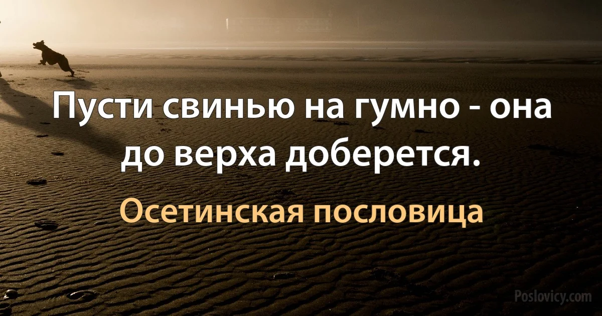 Пусти свинью на гумно - она до верха доберется. (Осетинская пословица)