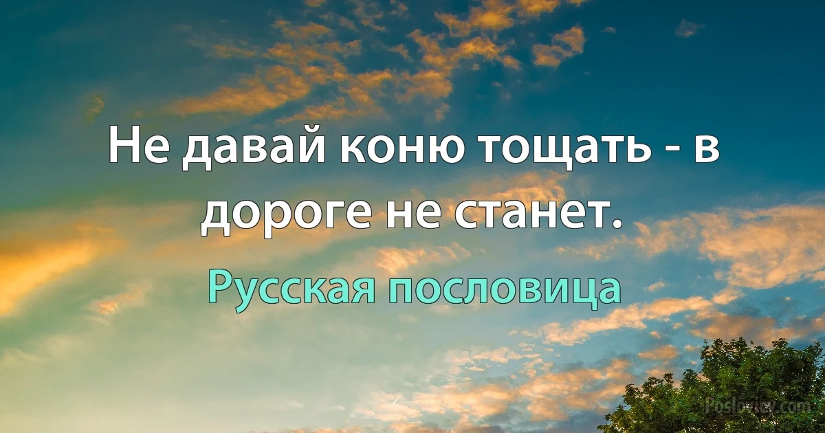 Не давай коню тощать - в дороге не станет. (Русская пословица)