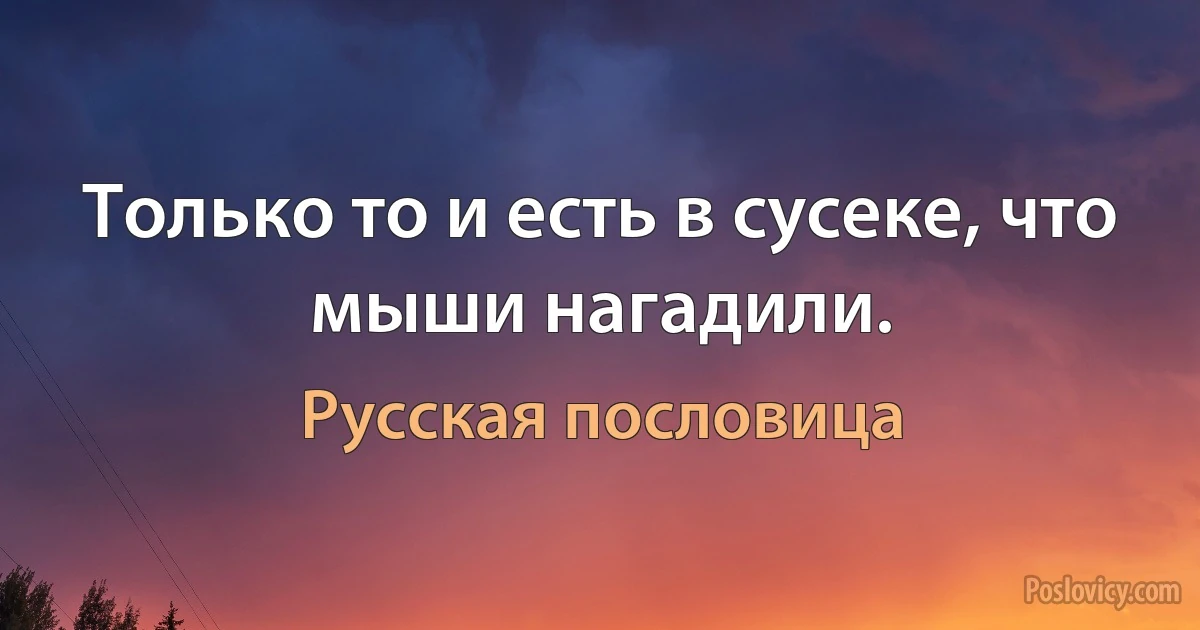 Только то и есть в сусеке, что мыши нагадили. (Русская пословица)