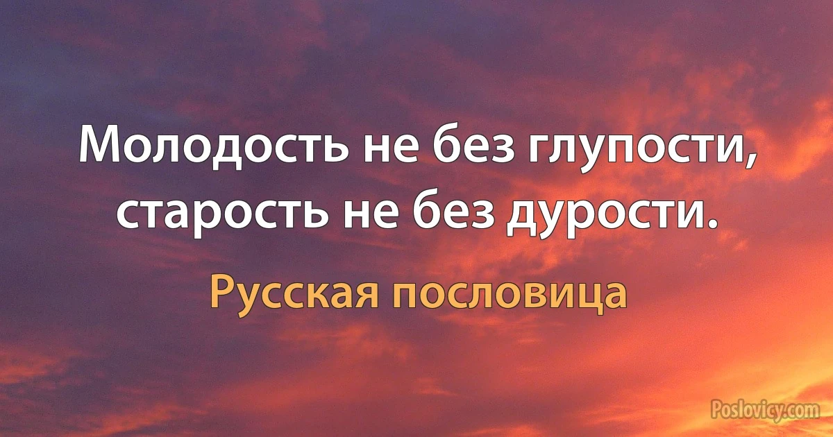 Молодость не без глупости, старость не без дурости. (Русская пословица)