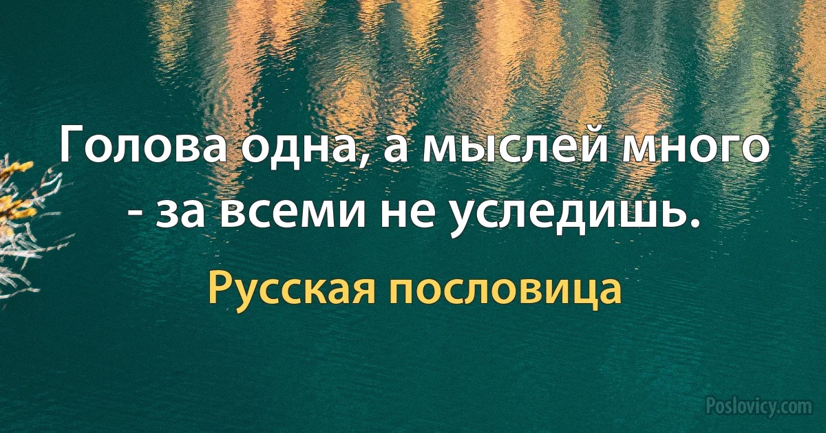 Голова одна, а мыслей много - за всеми не уследишь. (Русская пословица)