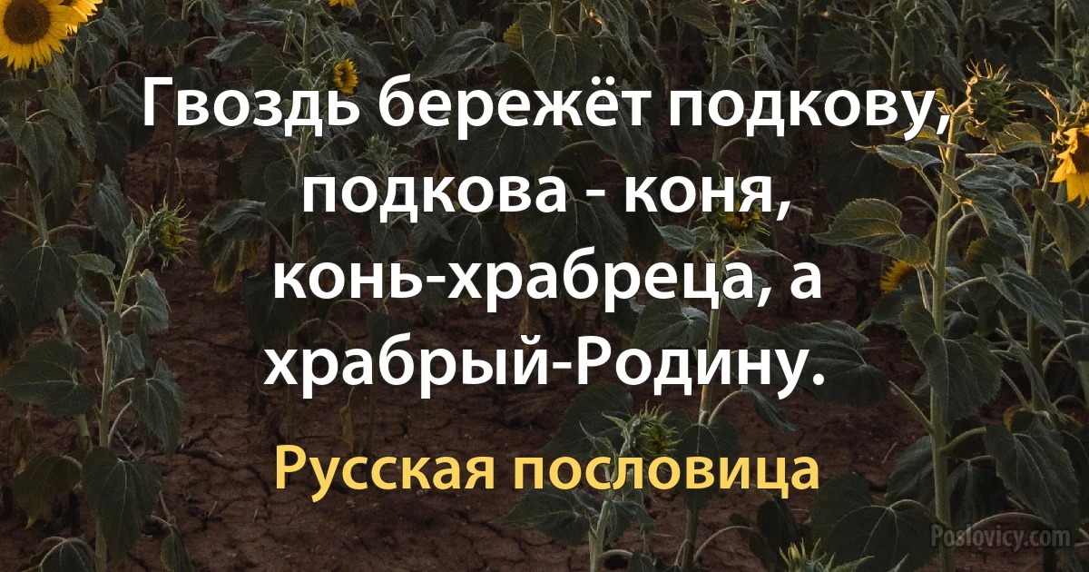 Гвоздь бережёт подкову, подкова - коня, конь-храбреца, а храбрый-Родину. (Русская пословица)