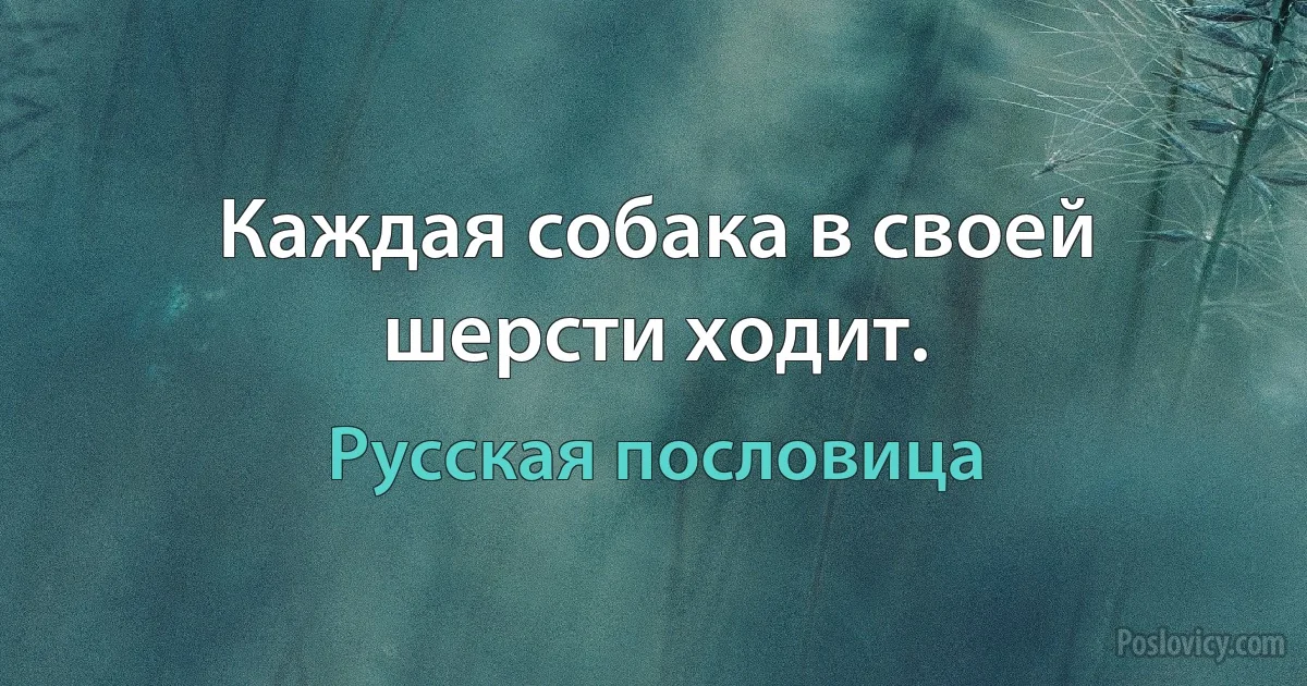 Каждая собака в своей шерсти ходит. (Русская пословица)